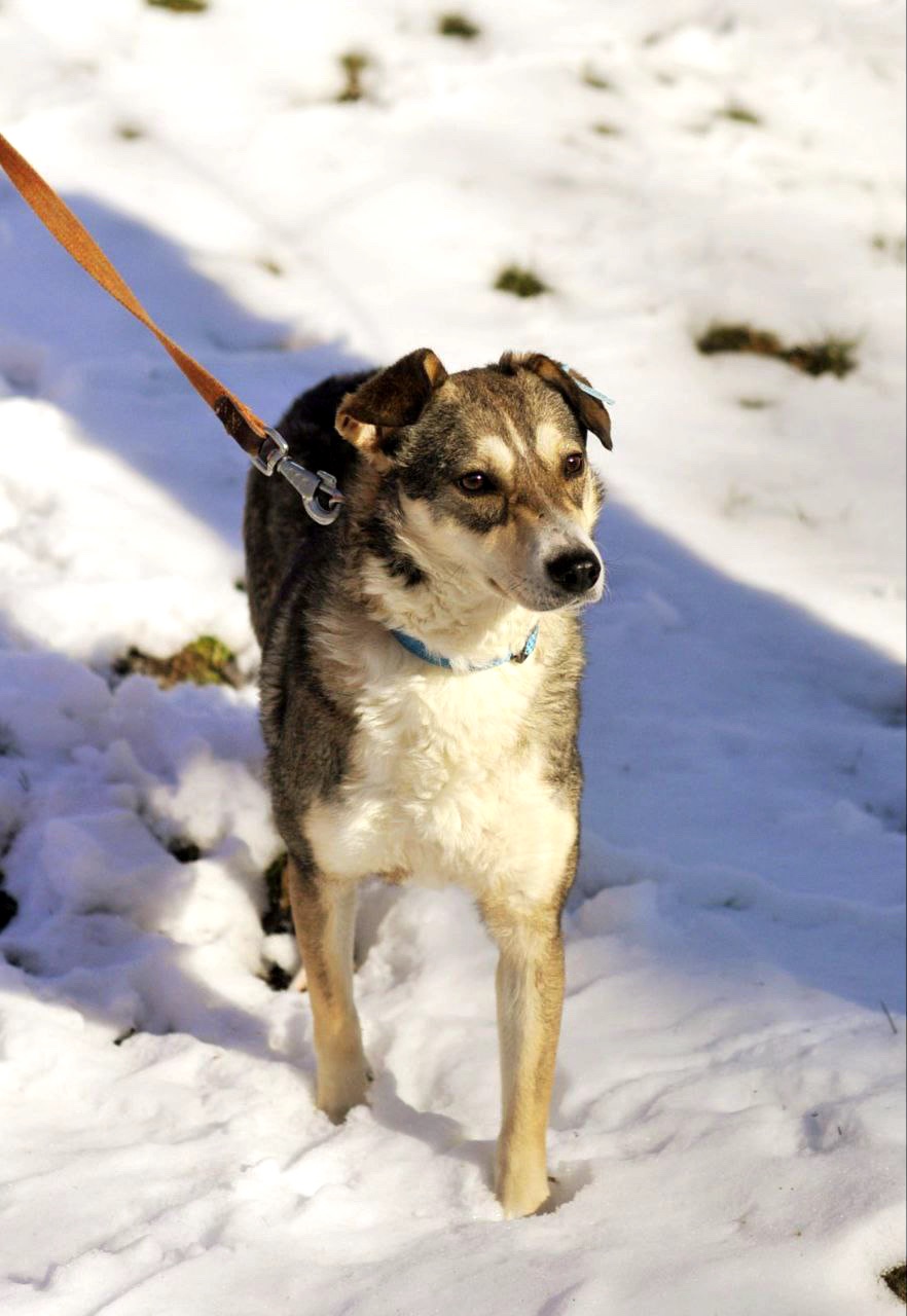 Чудова Мія, Мієчка