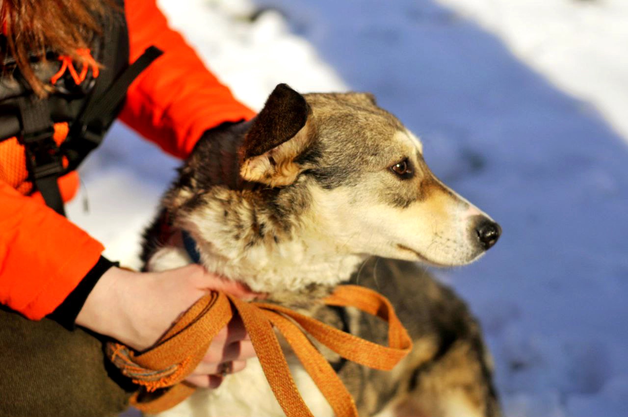 Чудова Мія, Мієчка