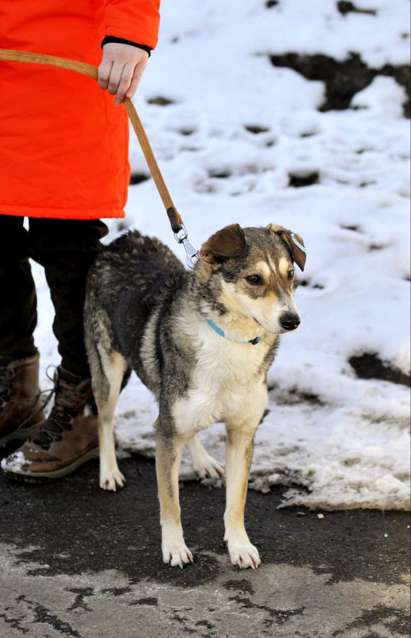 Чудова Мія, Мієчка