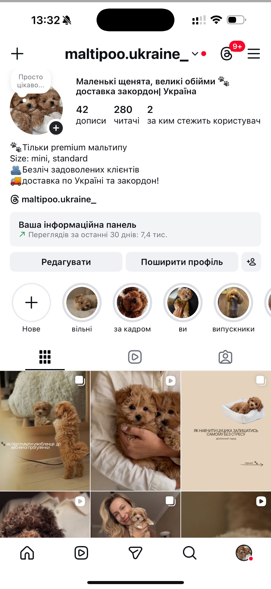 Люкс дівчинка мальтипу