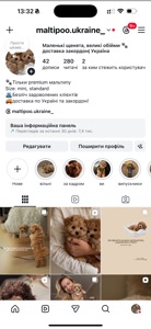 Люкс дівчинка мальтипу