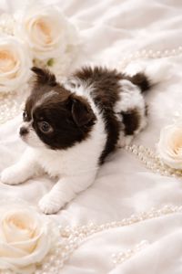 VIP красотка с голубыми глазками!