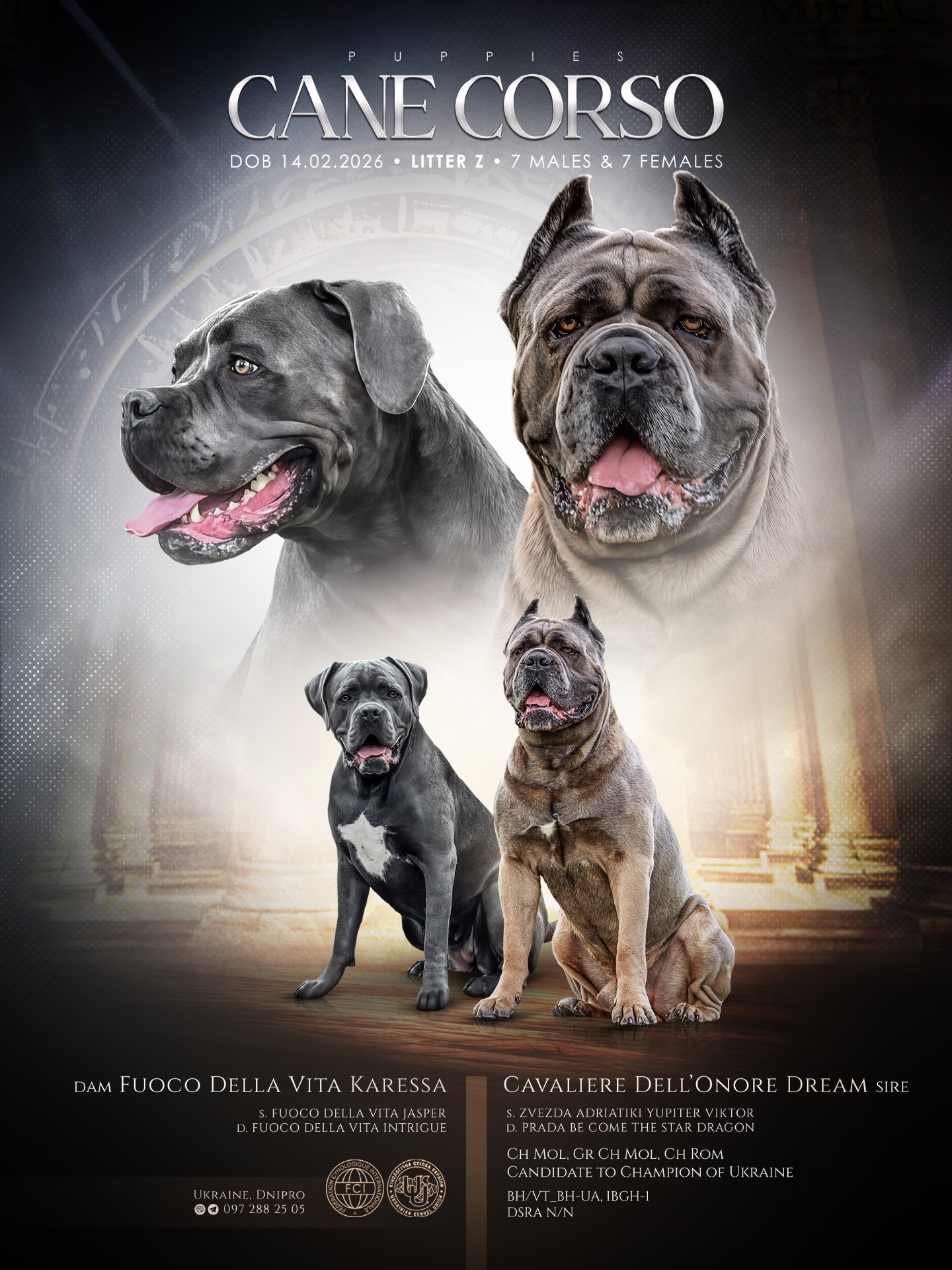 Цуценята Кане-корсо