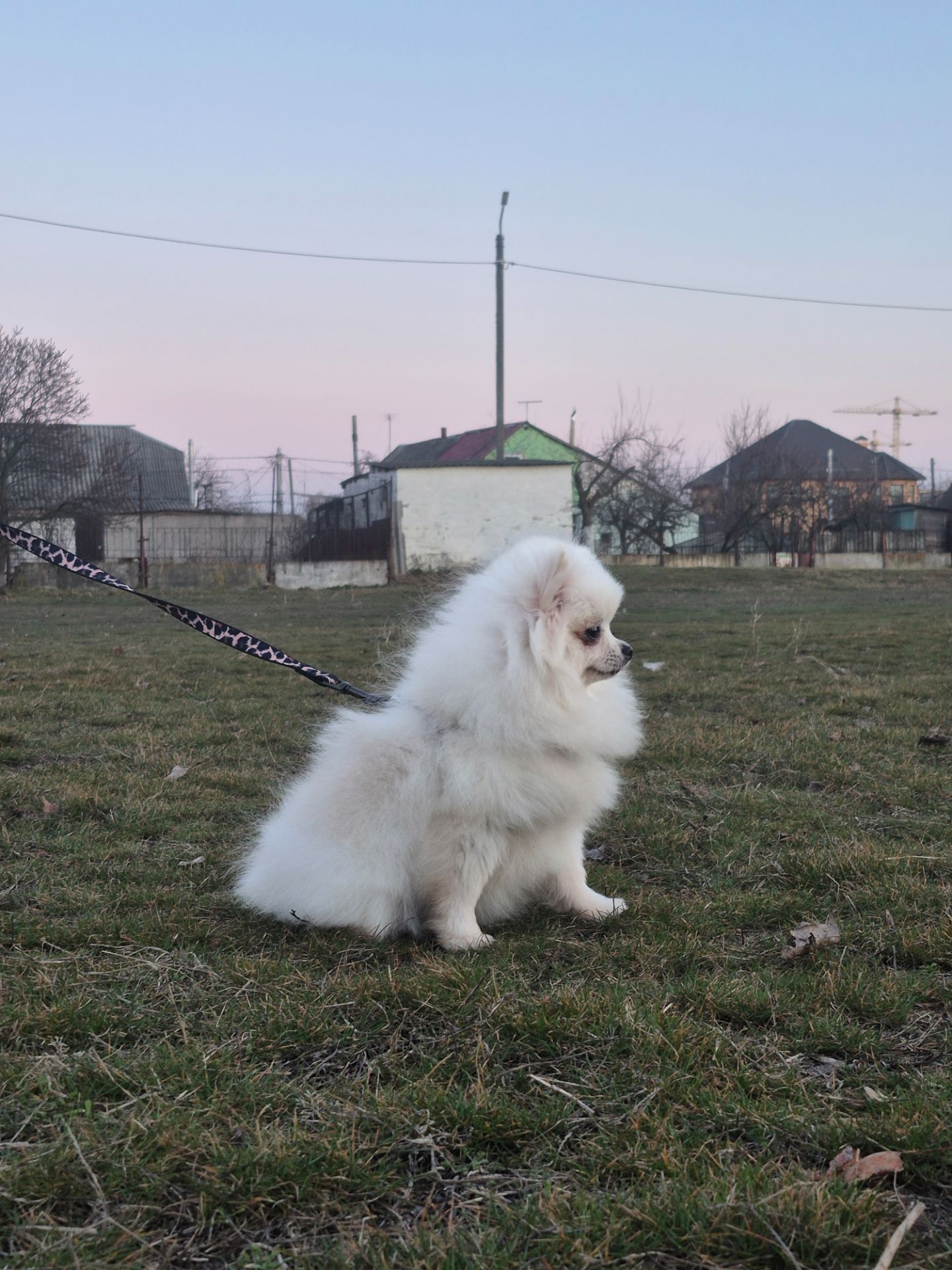Маленька дівчинка