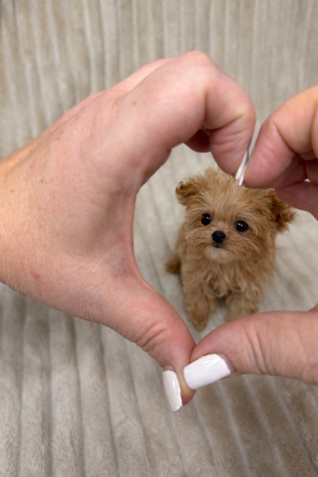 500грам Щастья