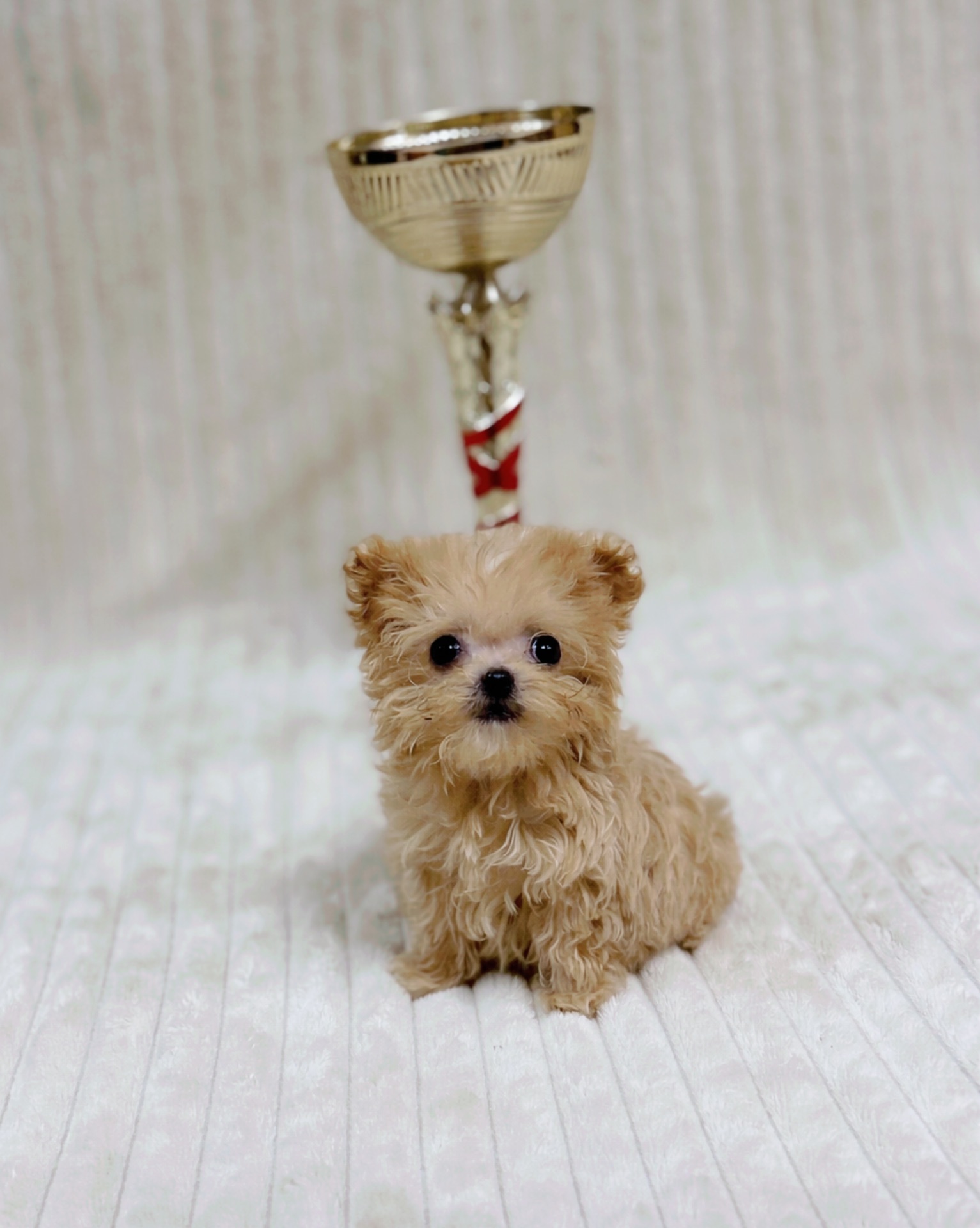 500грам Щастья