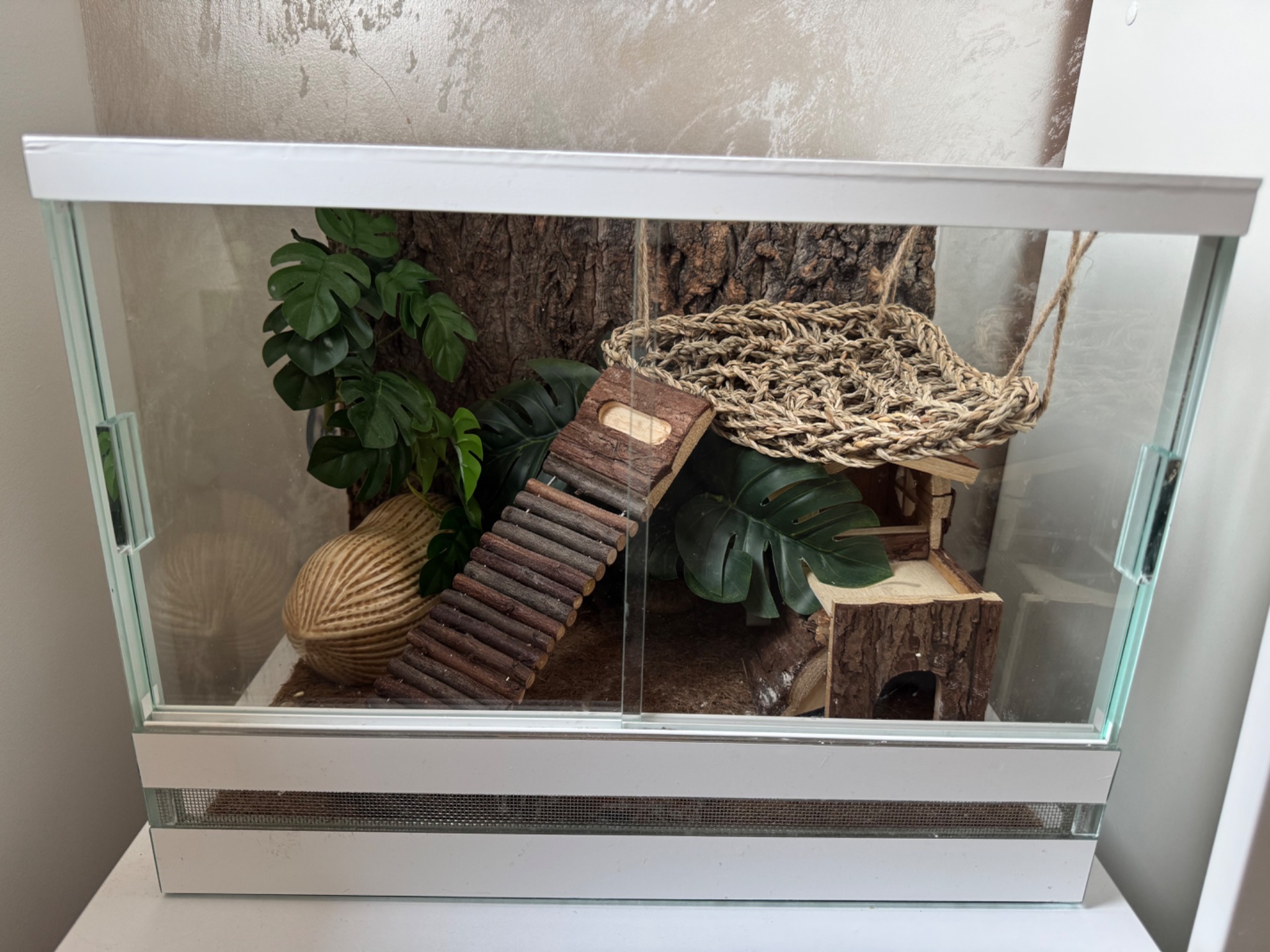 Гекон еублефар з усім необхідним для утримання