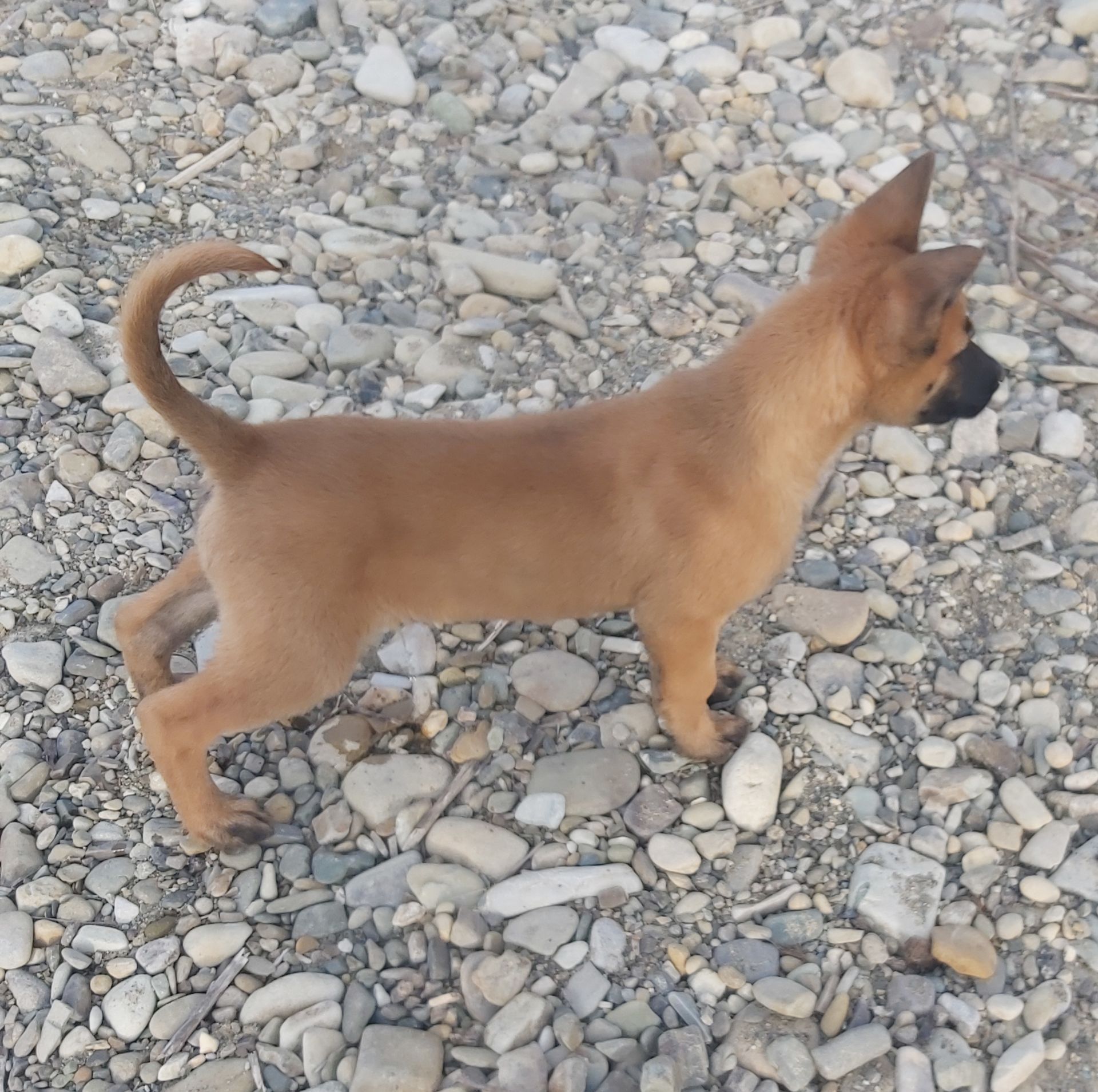 Залишився 1 красень хлопчик