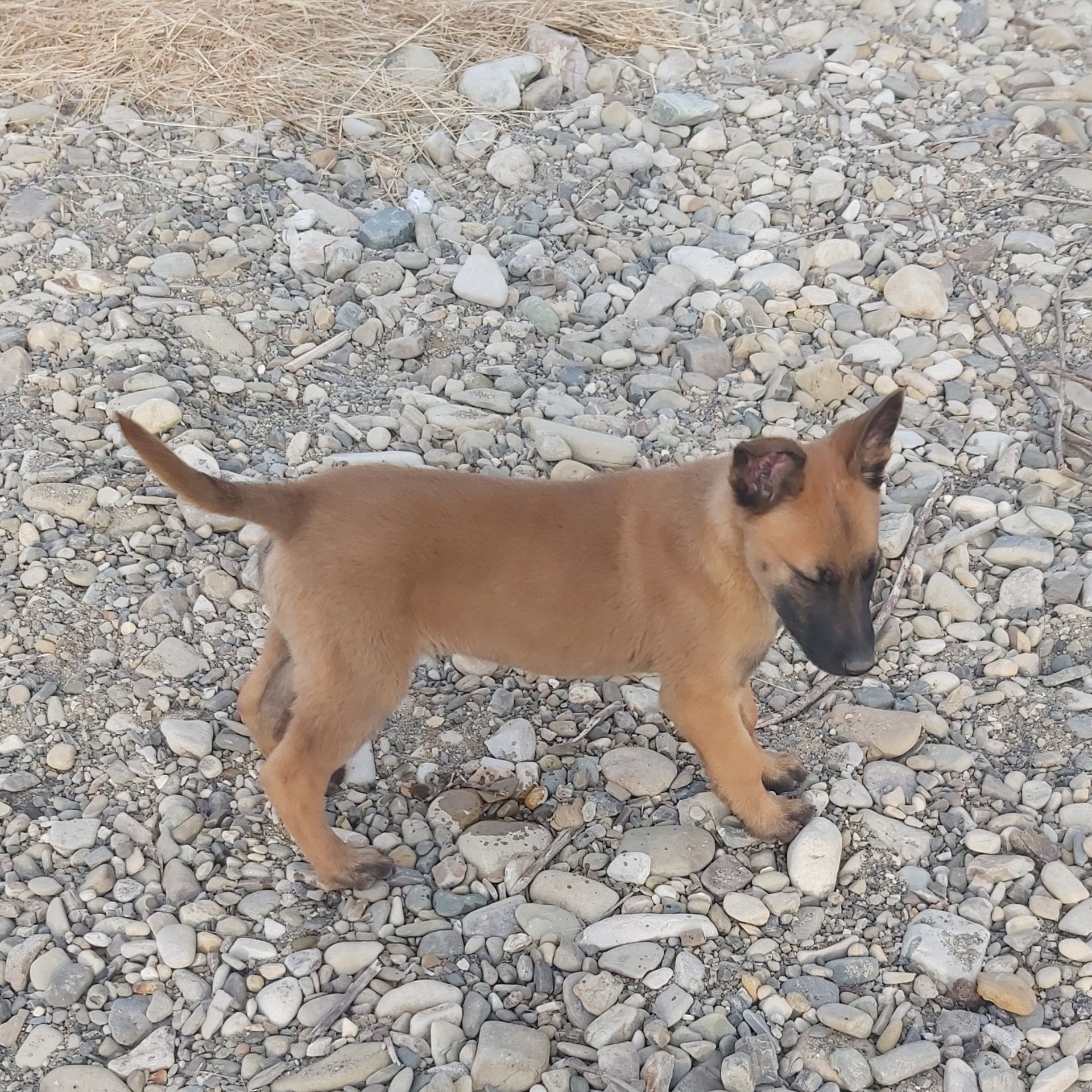 Залишився 1 красень хлопчик