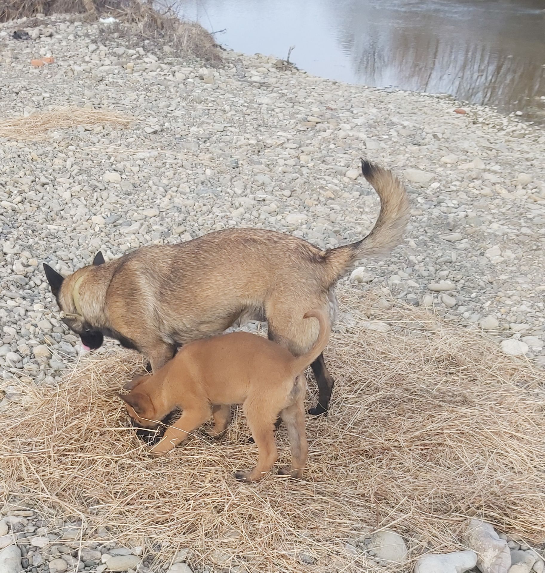 Залишився 1 красень хлопчик