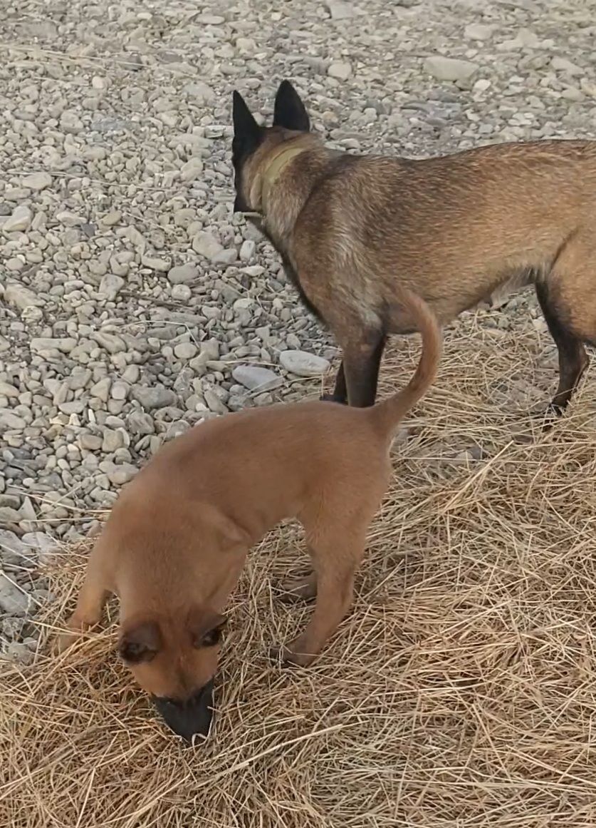 Залишився 1 красень хлопчик