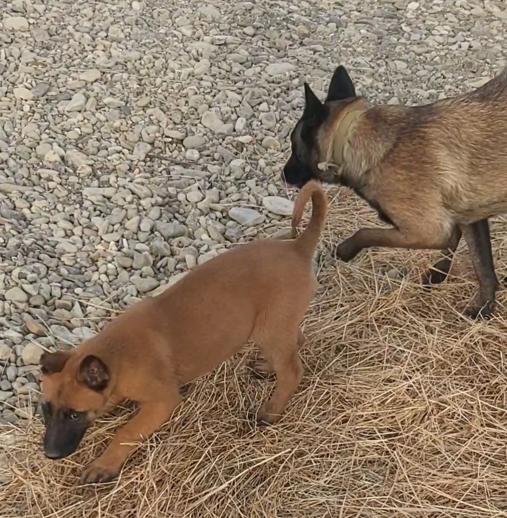 Залишився 1 красень хлопчик