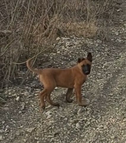 Залишився 1 красень хлопчик