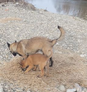 Залишився 1 красень хлопчик