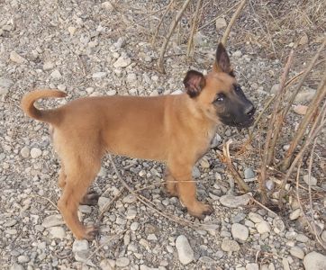 Залишився 1 красень хлопчик