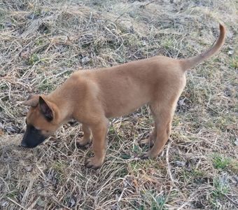 Залишився 1 красень хлопчик