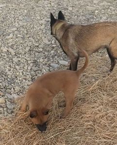 Залишився 1 красень хлопчик