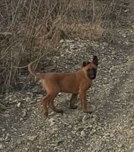 Залишився 1 красень хлопчик