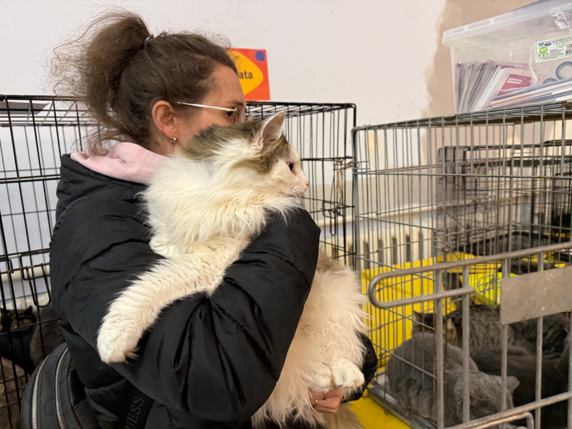 Мласнючий Макс