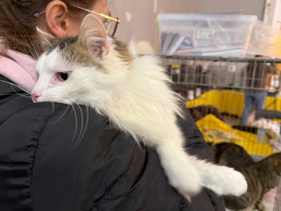 Мласнючий Макс