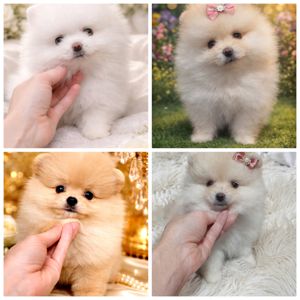 VIP красунчики! Хлопцi та дiвчата!