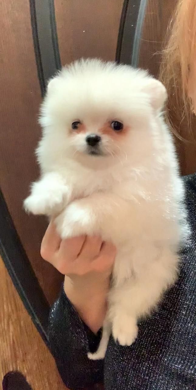 Чудова дівчинка