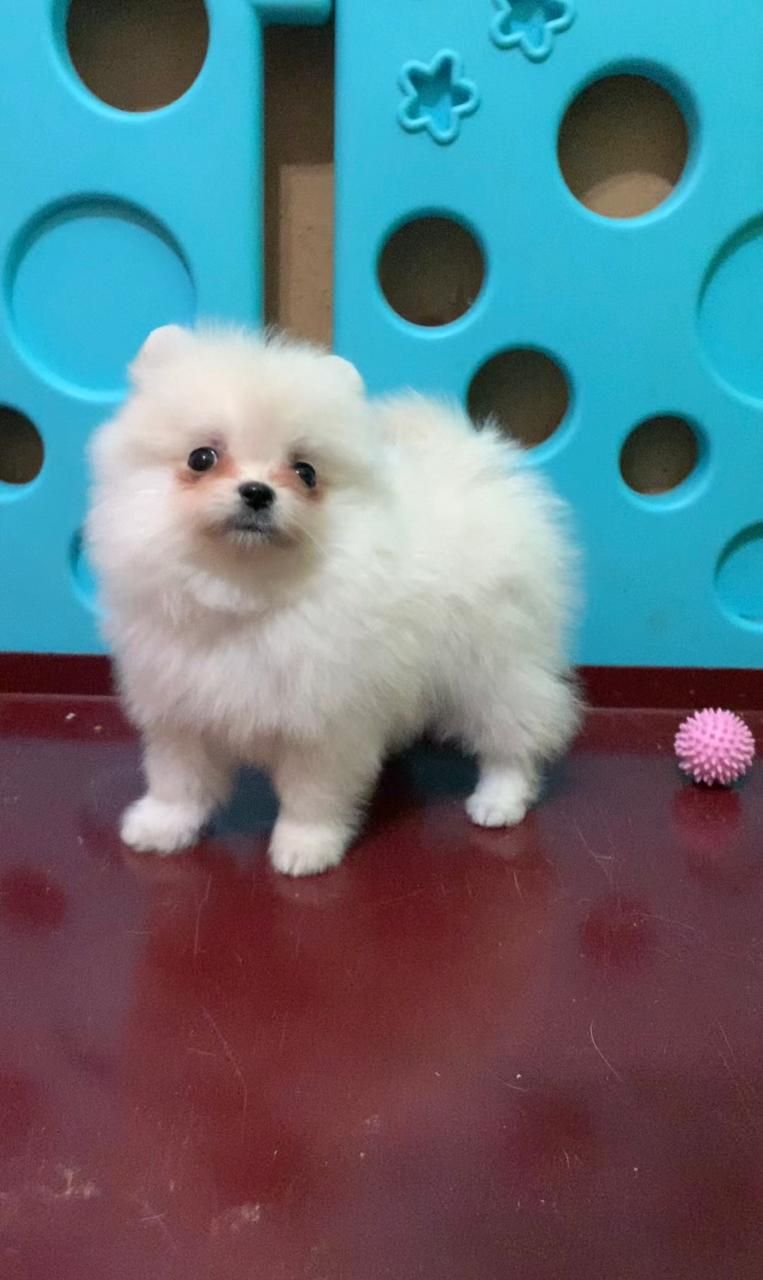 Чудова дівчинка