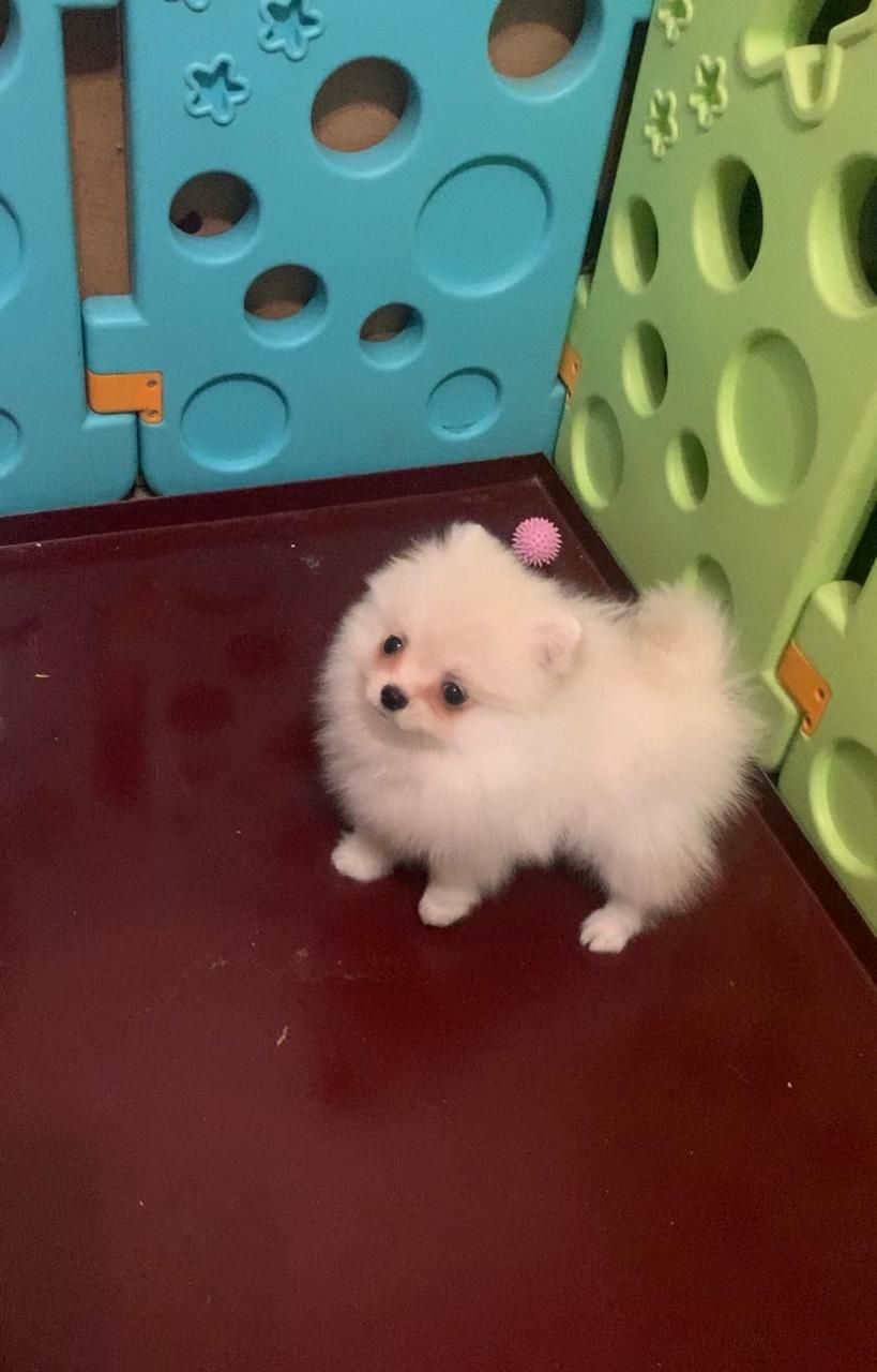 Чудова дівчинка