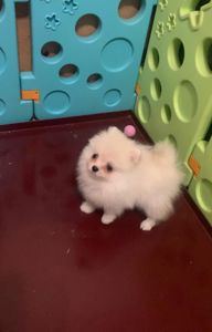 Чудова дівчинка