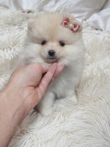 VIP красунчики! Хлопцi та дiвчата!