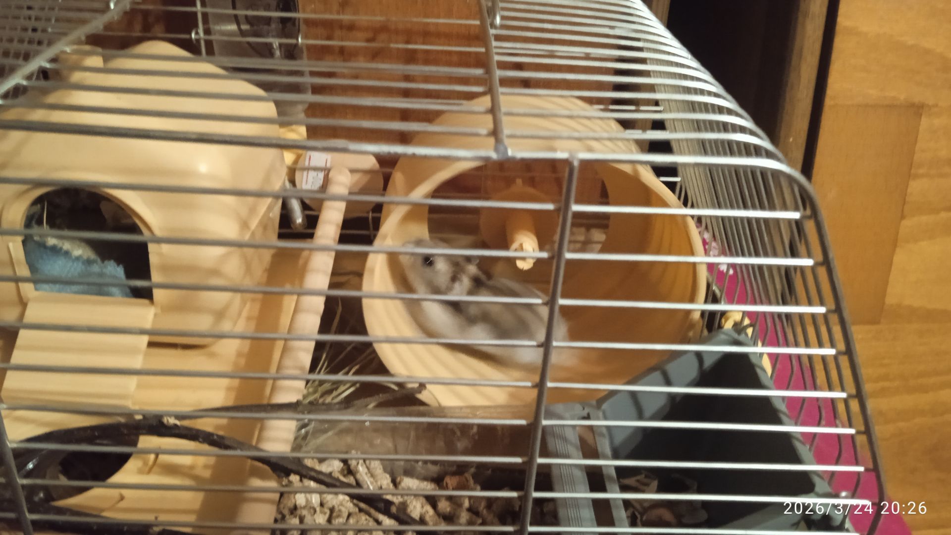 Продам в надійні руки