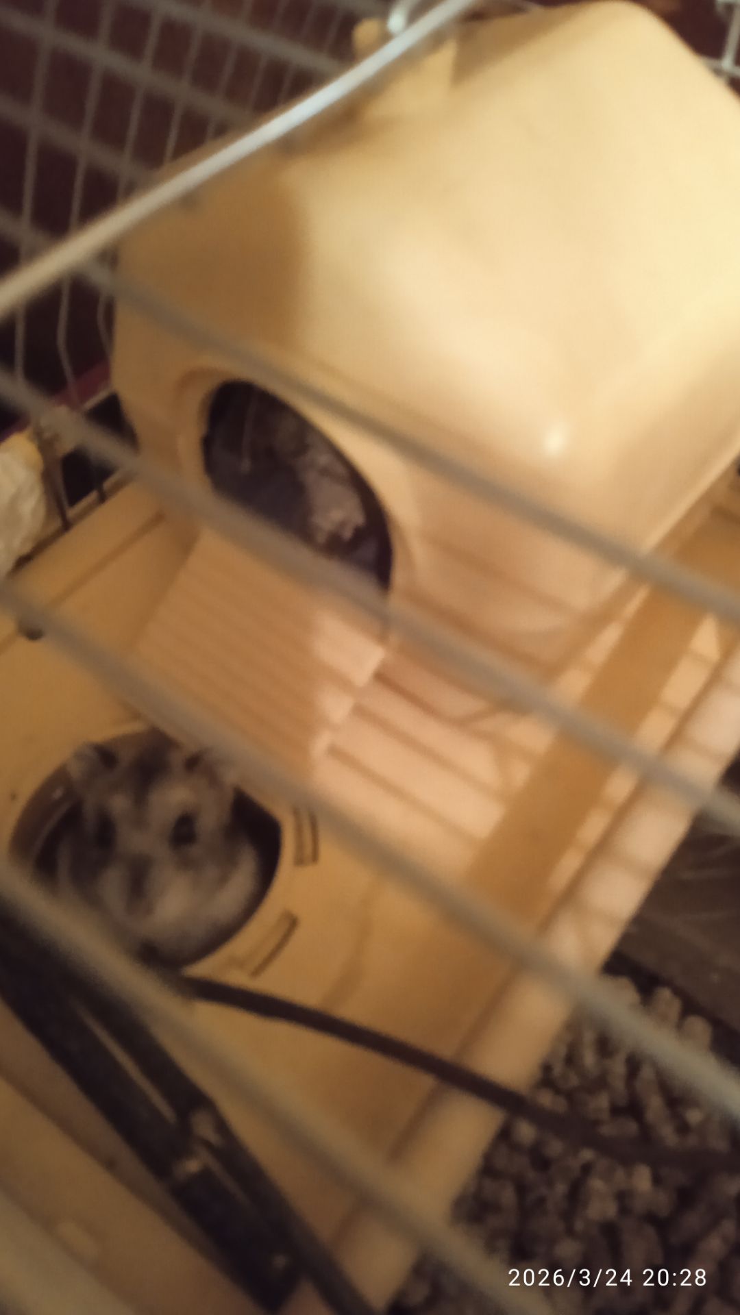 Продам в надійні руки