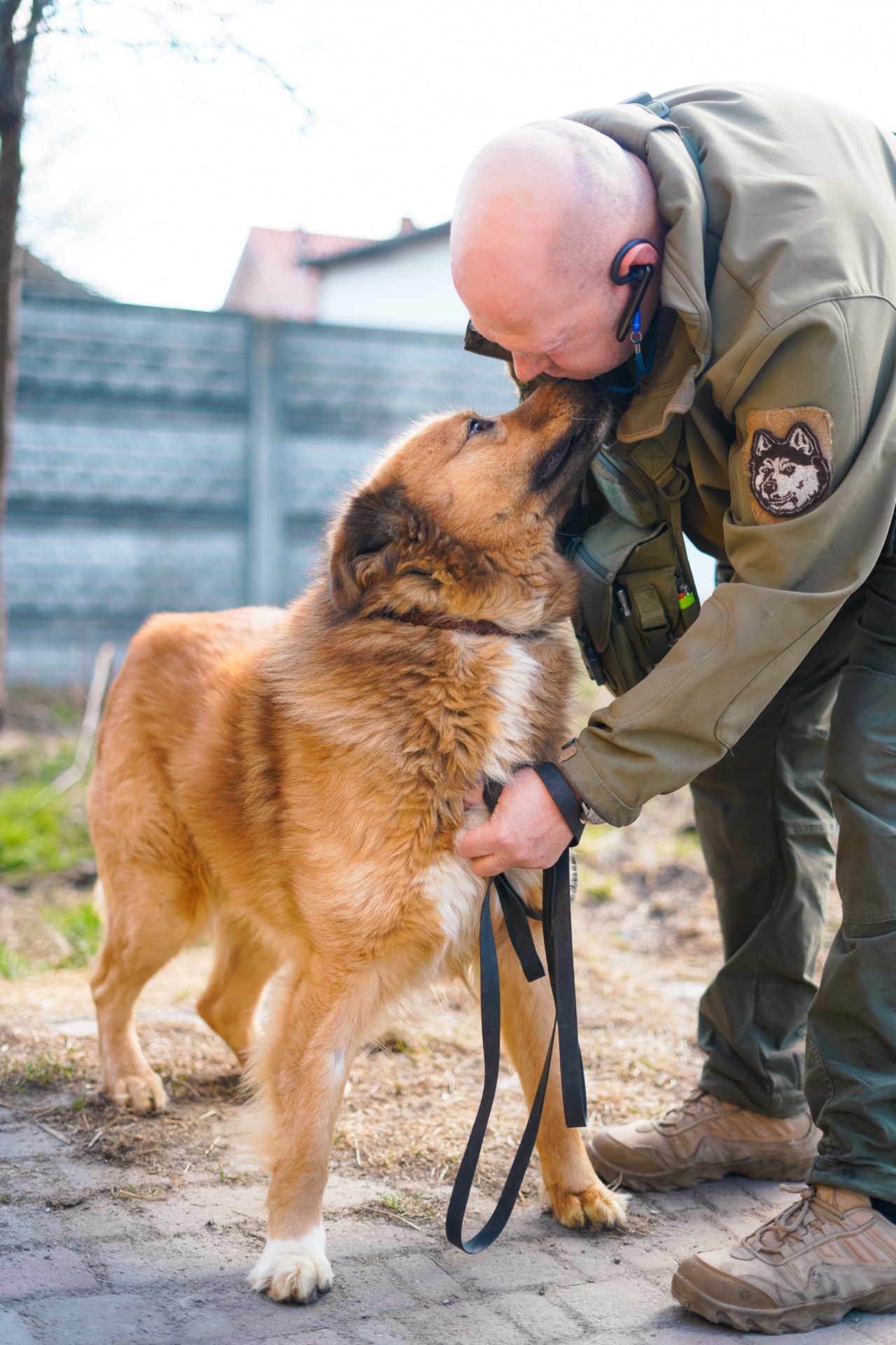 Великий красень ДАНАЙ