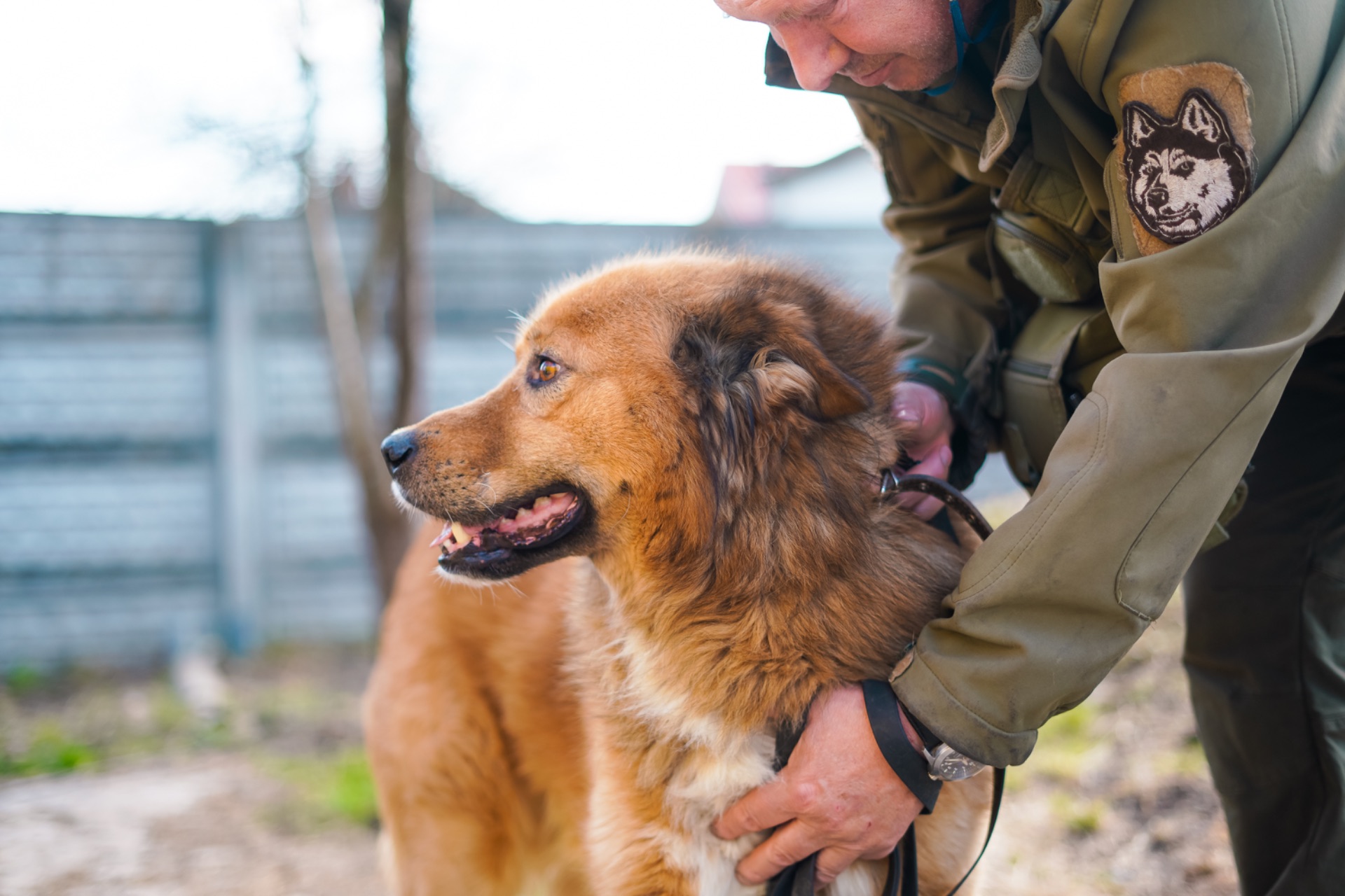 Великий красень ДАНАЙ