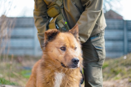Великий красень ДАНАЙ