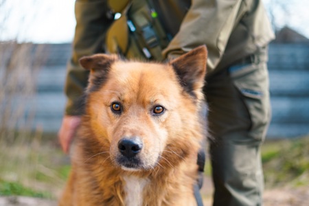 Великий красень ДАНАЙ