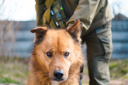 Великий красень ДАНАЙ