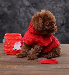 Лялькові малята той пуделя