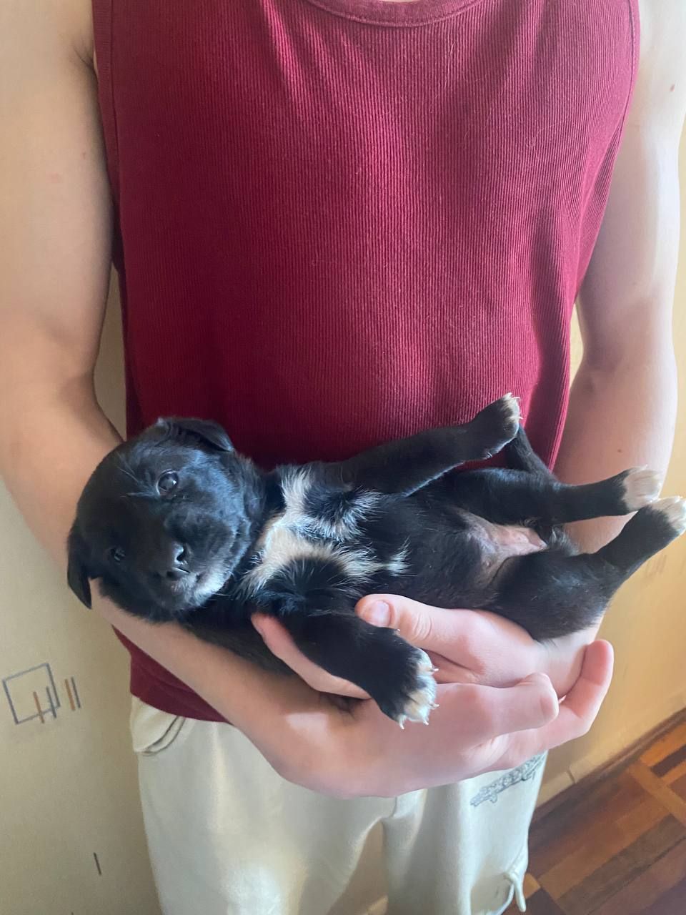 Буча. Дівчинка 1 місяць