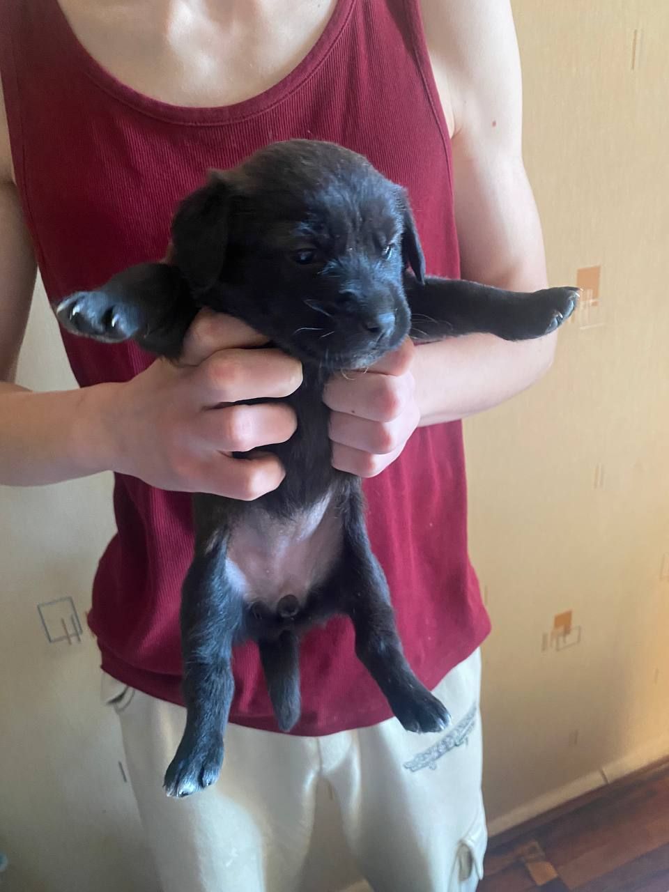 Буча. Дівчинка 1 місяць