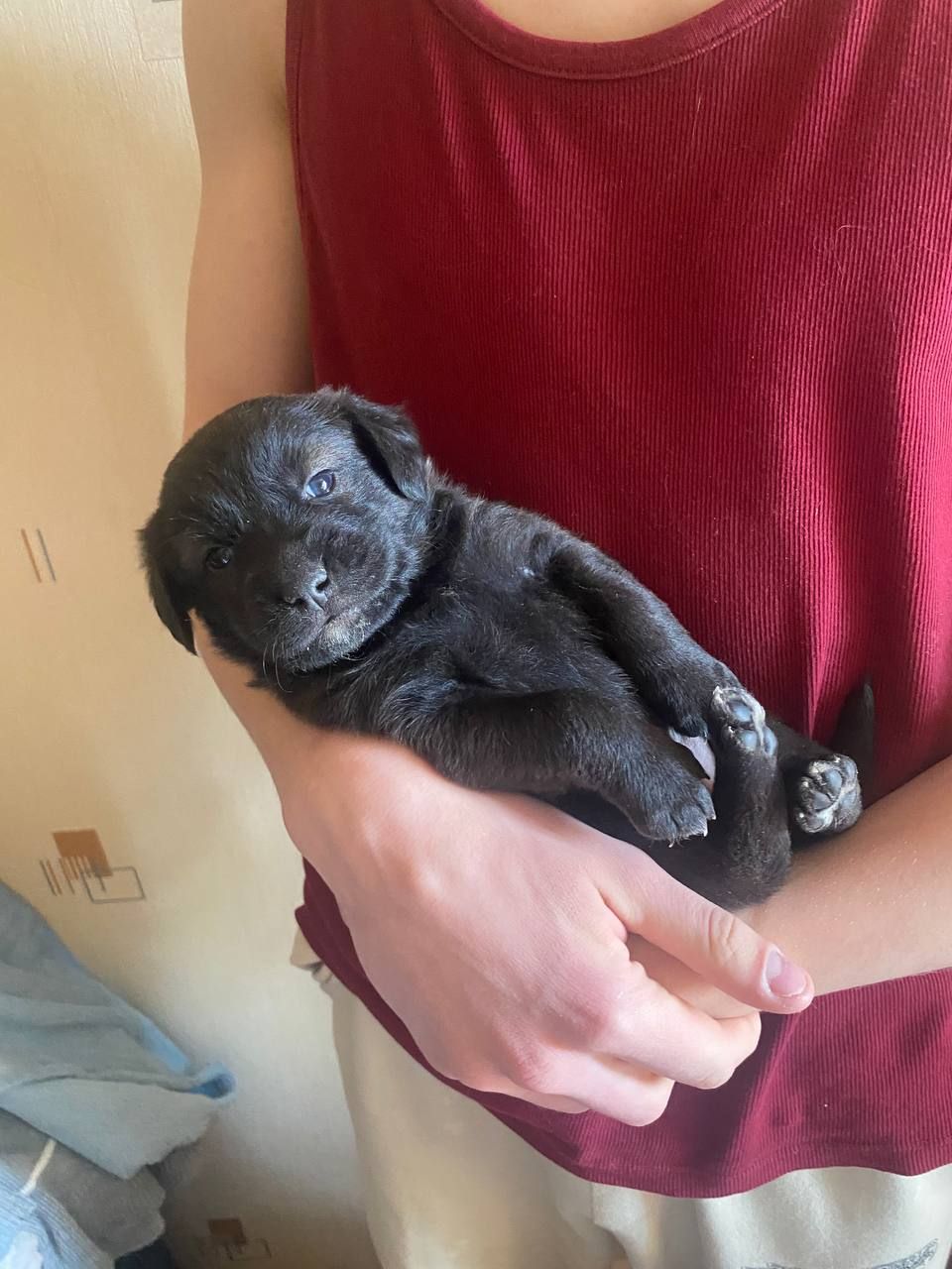 Буча. Дівчинка 1 місяць