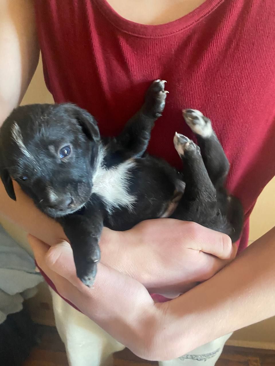 Буча. Дівчинка 1 місяць