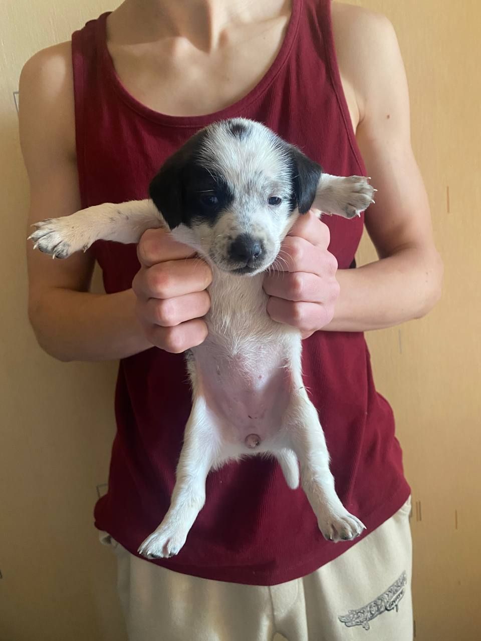 Буча. Дівчинка 1 місяця