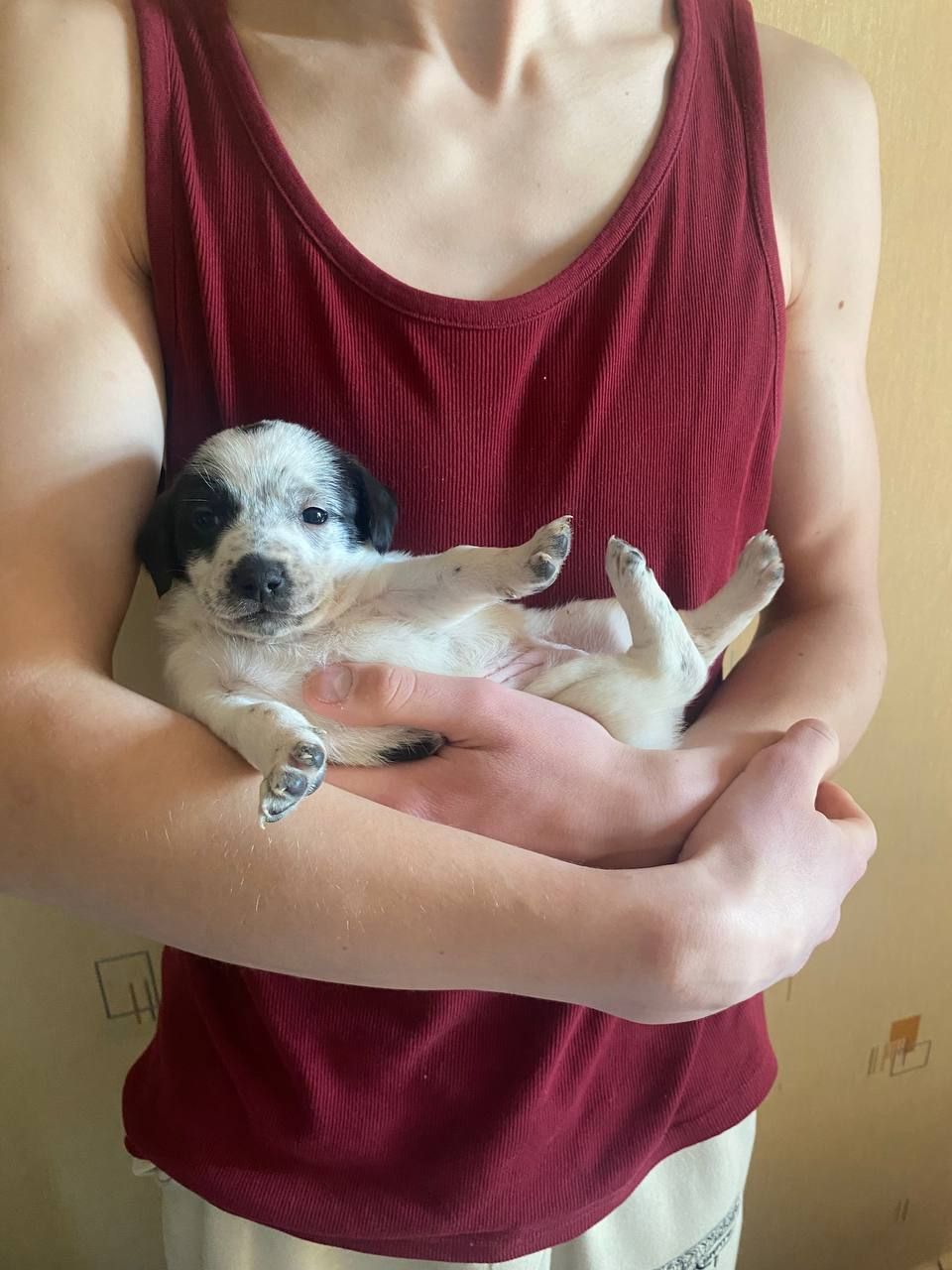 Буча. Дівчинка 1 місяця