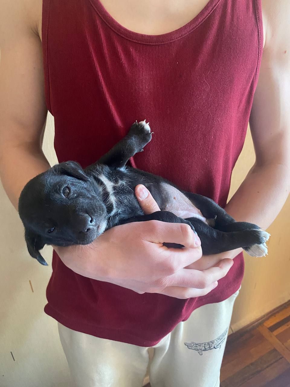 Буча. Дівчинка 1 місяць