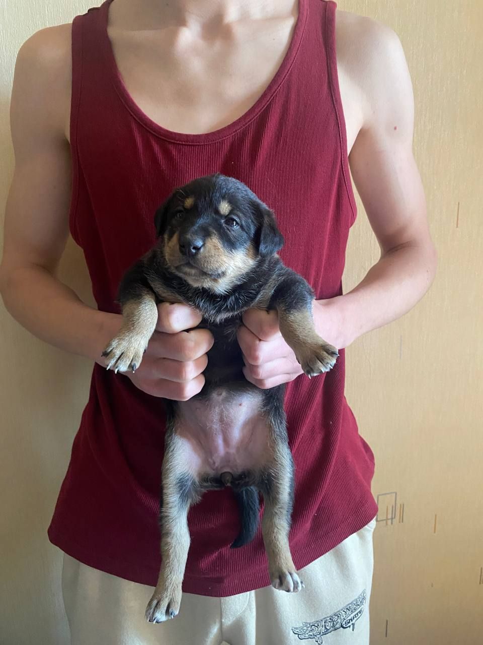 Буча. Дівчинка 1 місяця