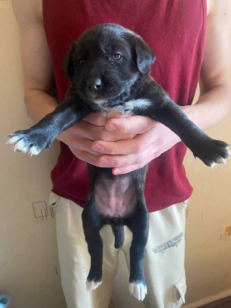 Буча. Дівчинка 1 місяць