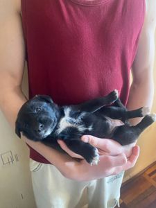 Буча. Дівчинка 1 місяць