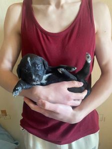 Буча. Дівчинка 1 місяць