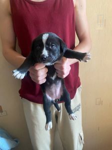 Буча. Дівчинка 1 місяця